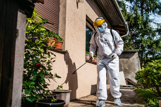 Best Pest Removal Services  in Weimar, TX