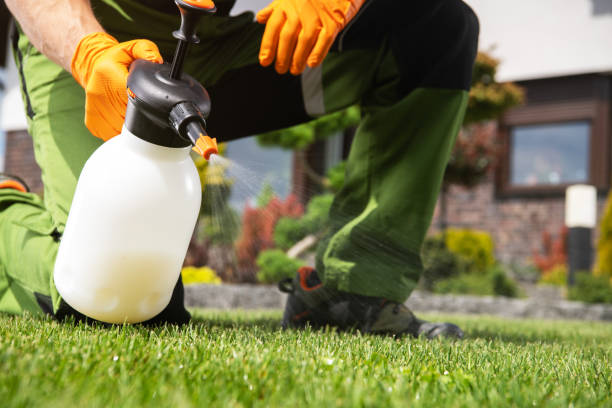 Best Pest Control Near Me in Weimar, TX