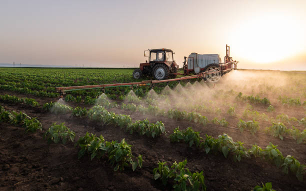 Professional Pest Control in Weimar, TX