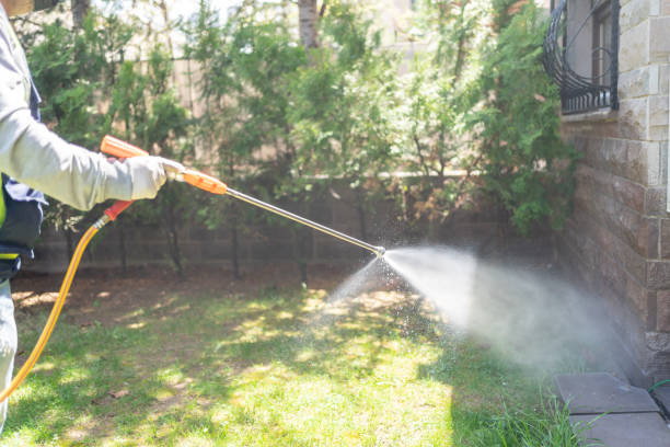 Best Termite Control Services  in Weimar, TX