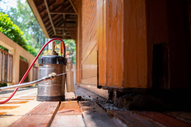 Best Pest Control for Restaurants  in Weimar, TX